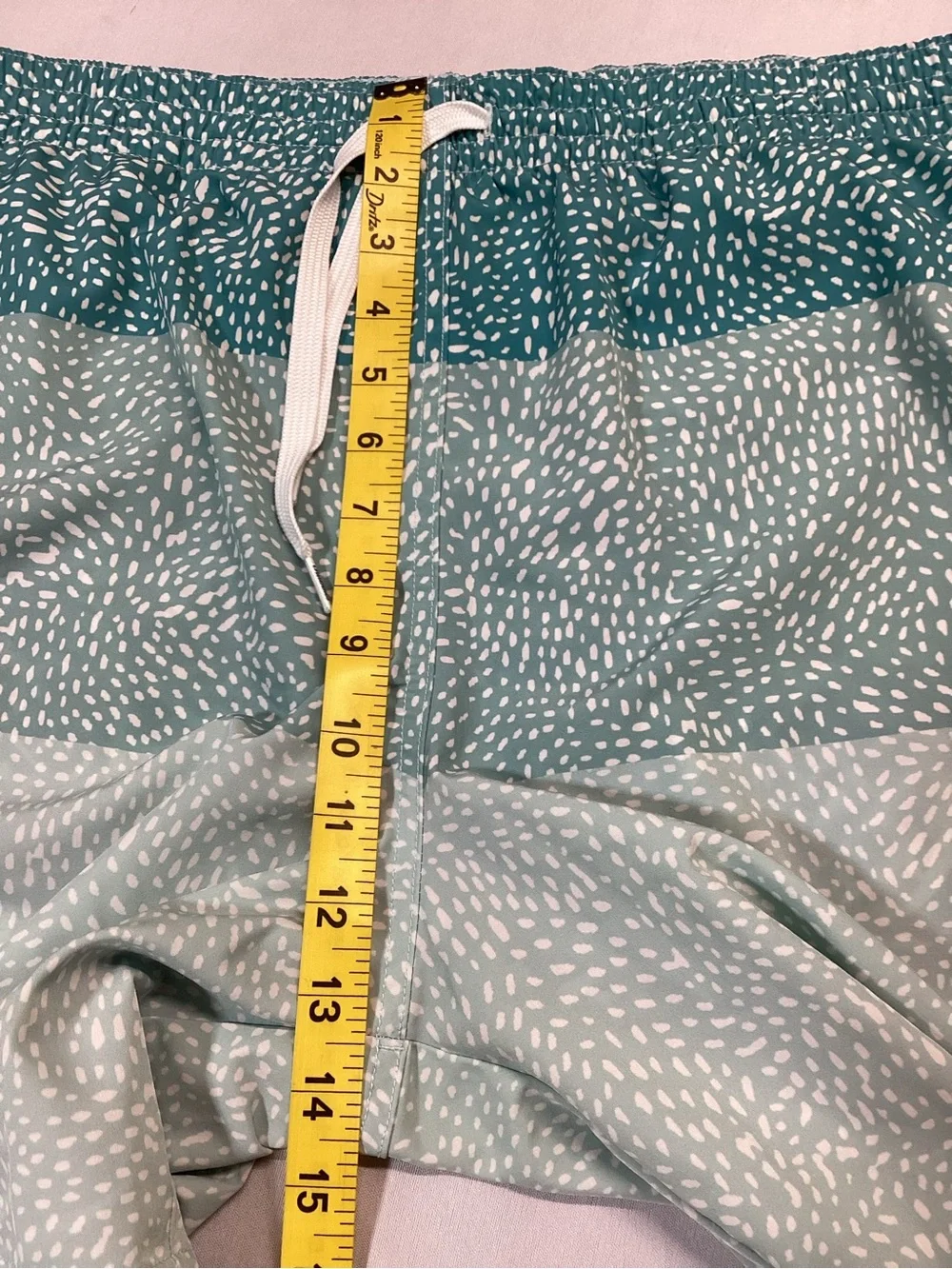 chubbies teal gradient